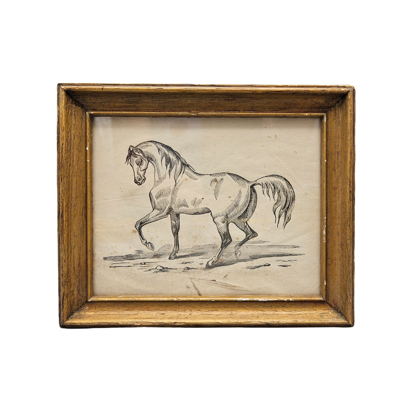 Original Antique Drawing of a Horse Under Glass