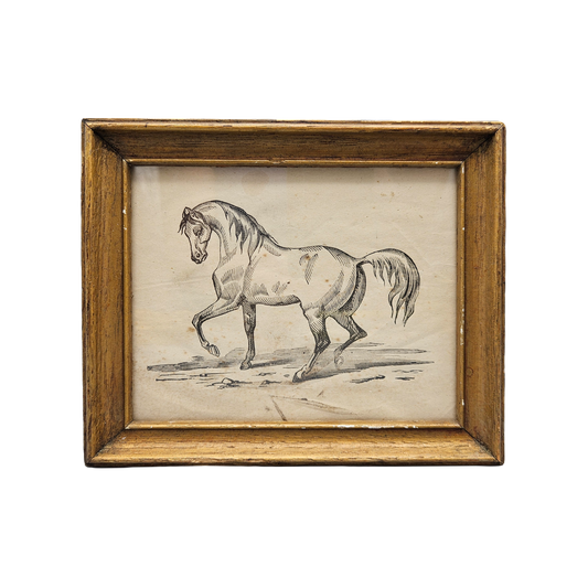 Original Antique Drawing of a Horse Under Glass