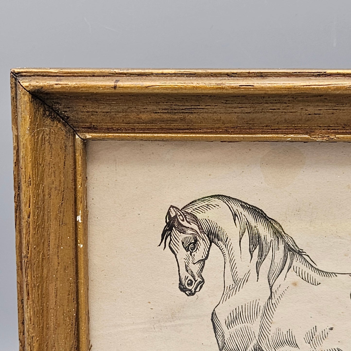 Original Antique Drawing of a Horse Under Glass