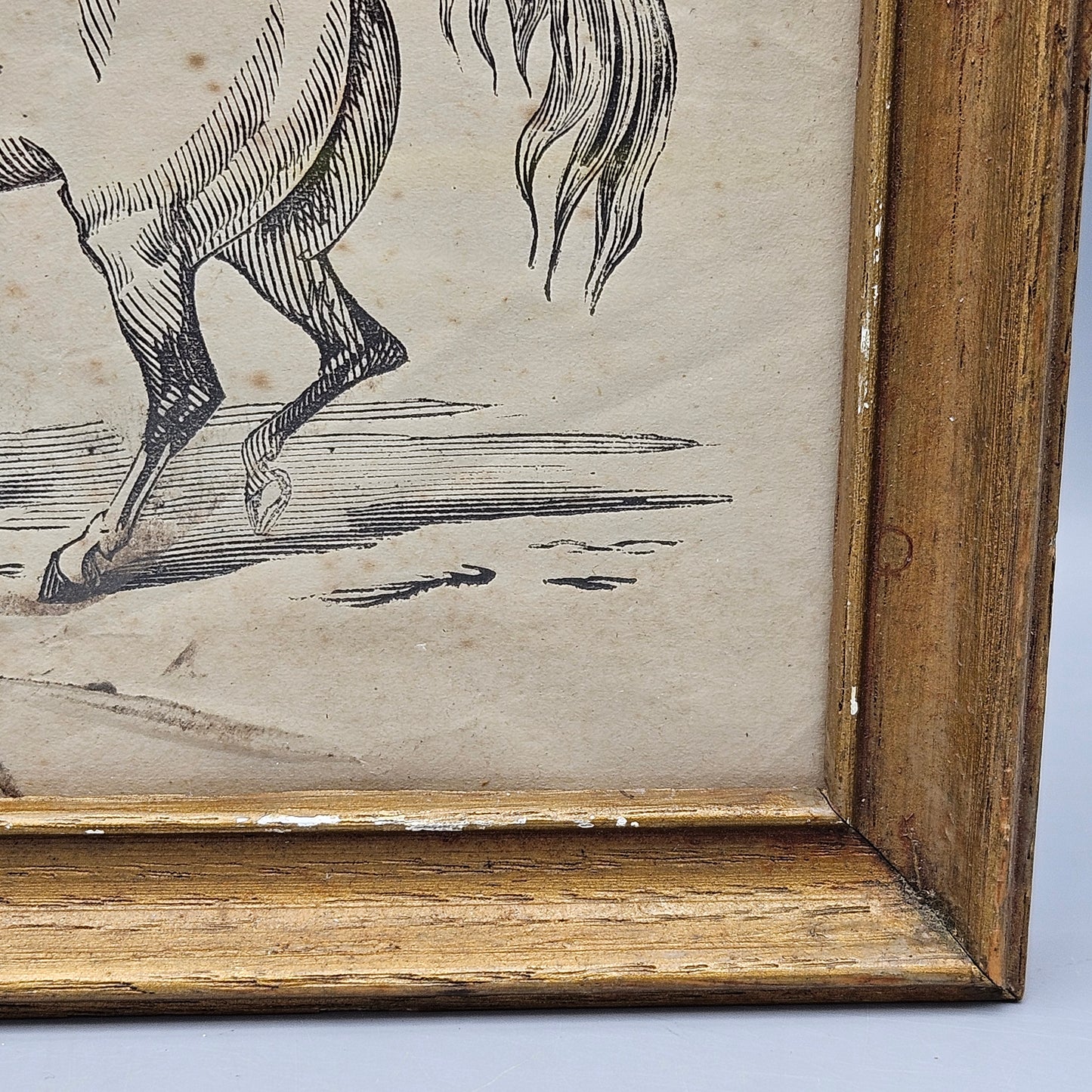 Original Antique Drawing of a Horse Under Glass