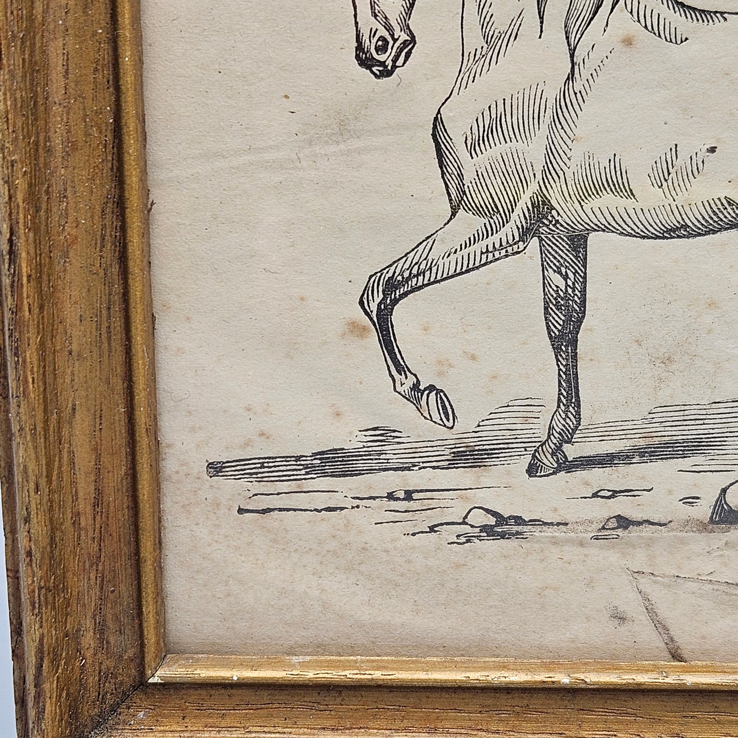 Original Antique Drawing of a Horse Under Glass