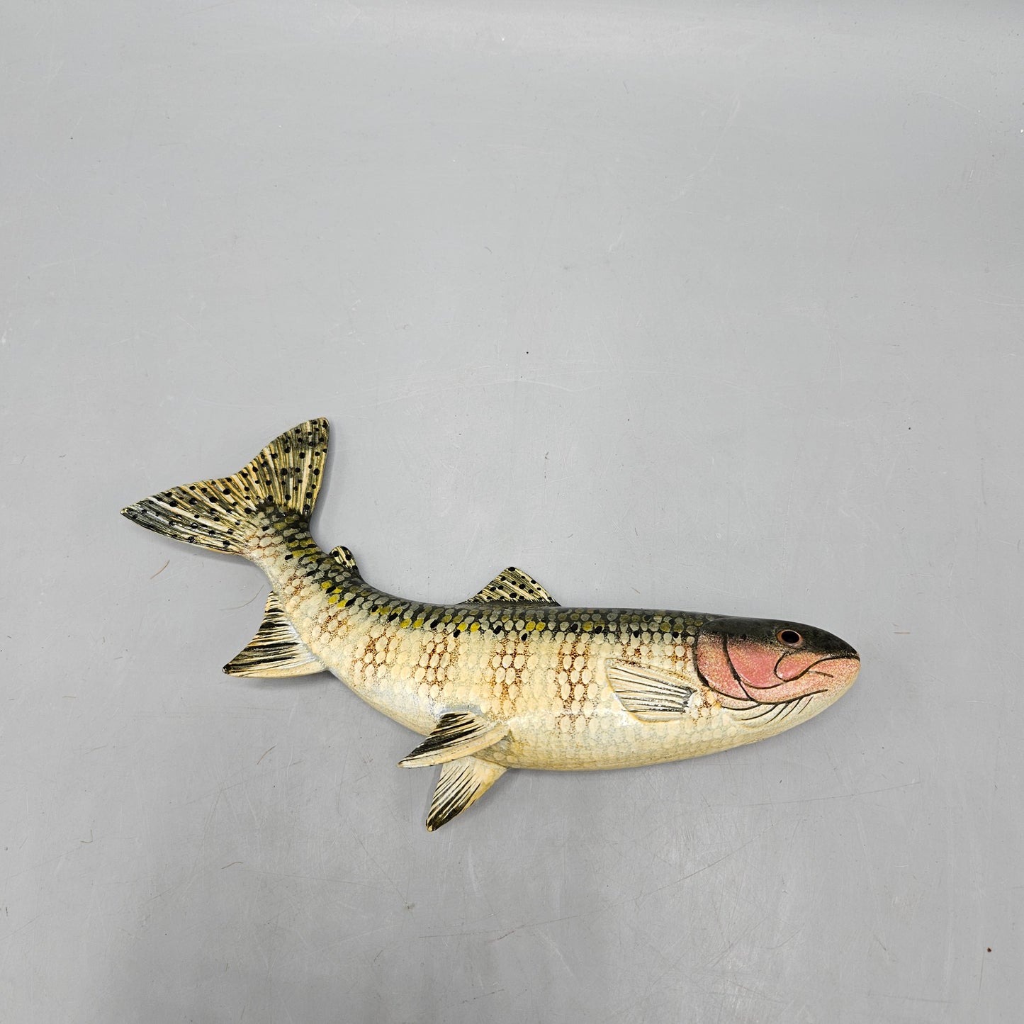 Set of 5 Fish Wall Hangings