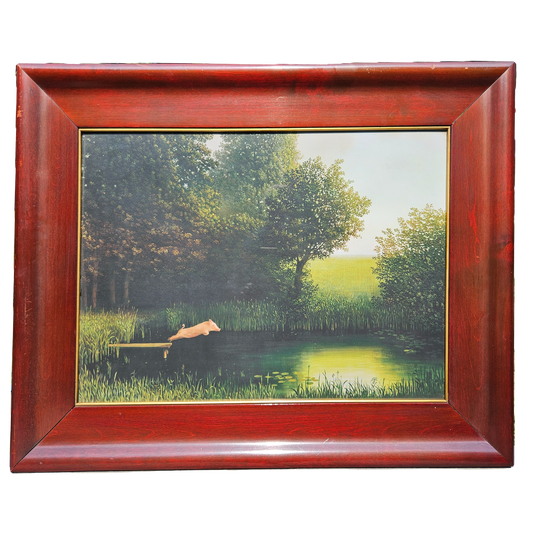 Michael Sowa Pig Diving Framed Print