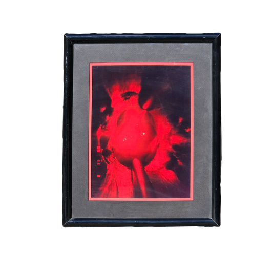 Mark Shikowitz Medical Photograph Framed Artwork