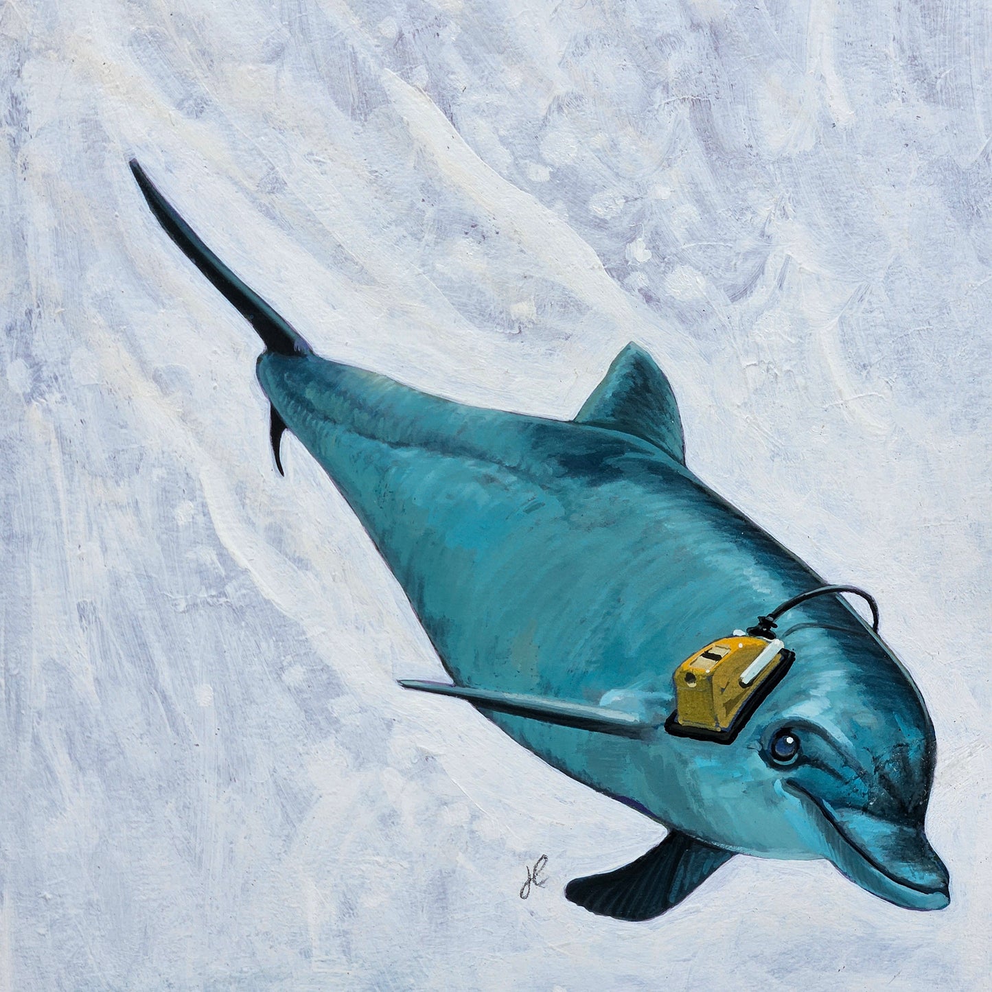 John Laughlin Gouache on Artist Board Dolphin with Ear Protection Framed Original Artwork Illustration