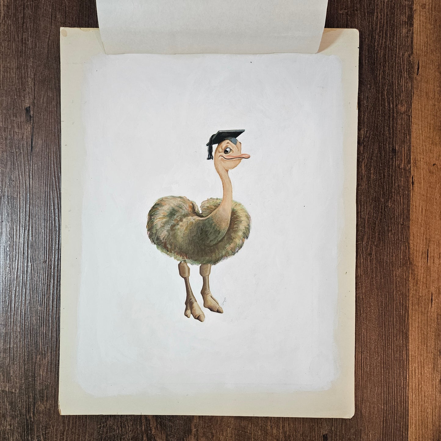 John Laughlin Gouache on Artist Board Ostrich in Mortarboard Unframed Original Artwork Illustration