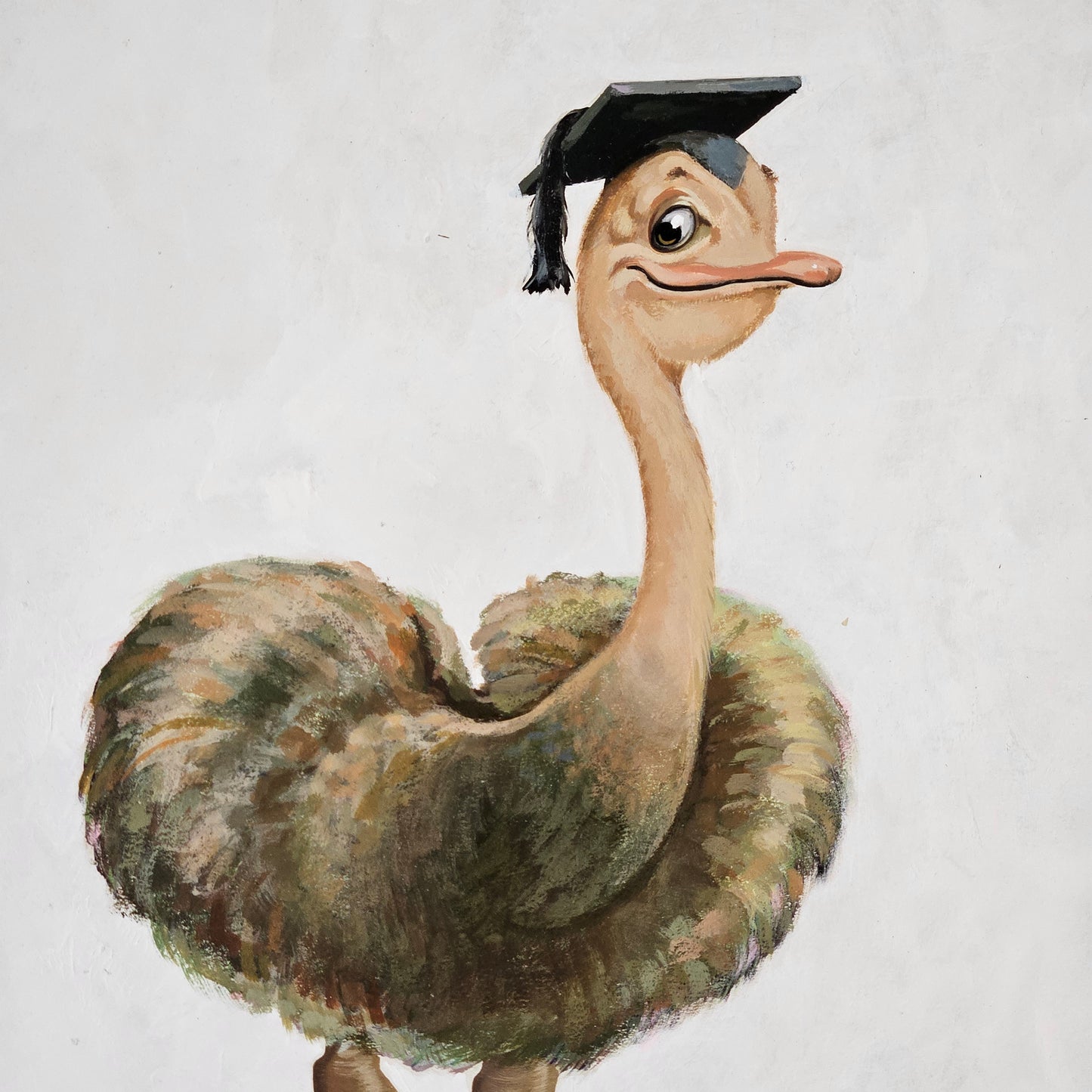 John Laughlin Gouache on Artist Board Ostrich in Mortarboard Unframed Original Artwork Illustration