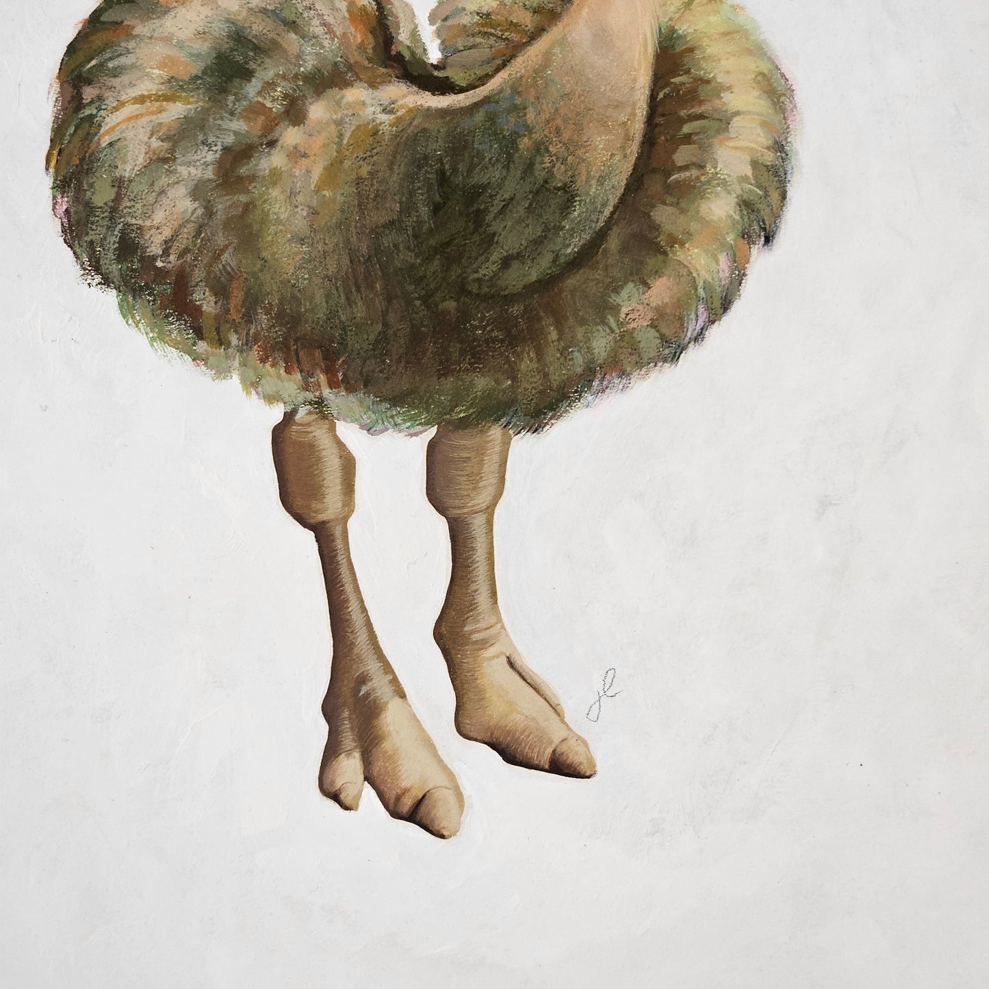 John Laughlin Gouache on Artist Board Ostrich in Mortarboard Unframed Original Artwork Illustration