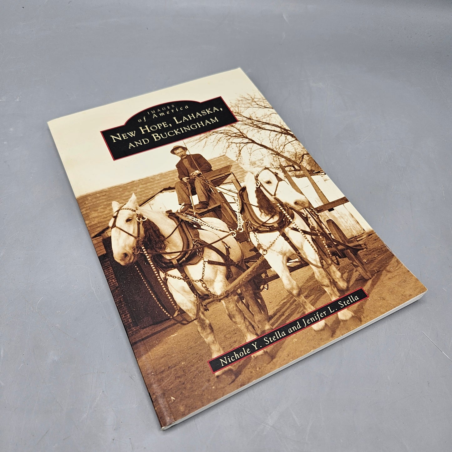 Book - Nichole & Jenifer Stella "New Hope, Lahaska and Buckingham" Visions of America