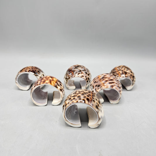 Tiger Cowry Shell Napkin Rings - Set of Six