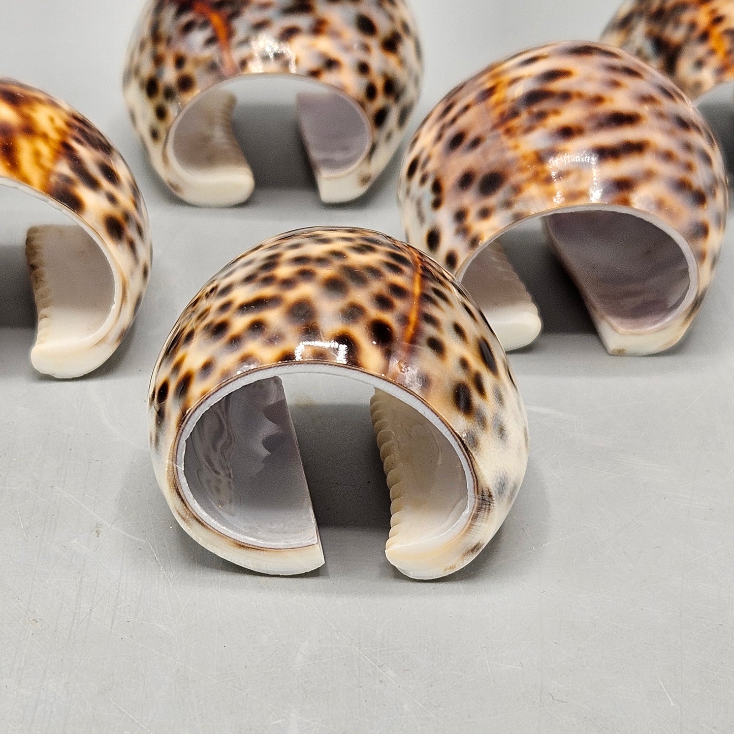 Tiger Cowry Shell Napkin Rings - Set of Six