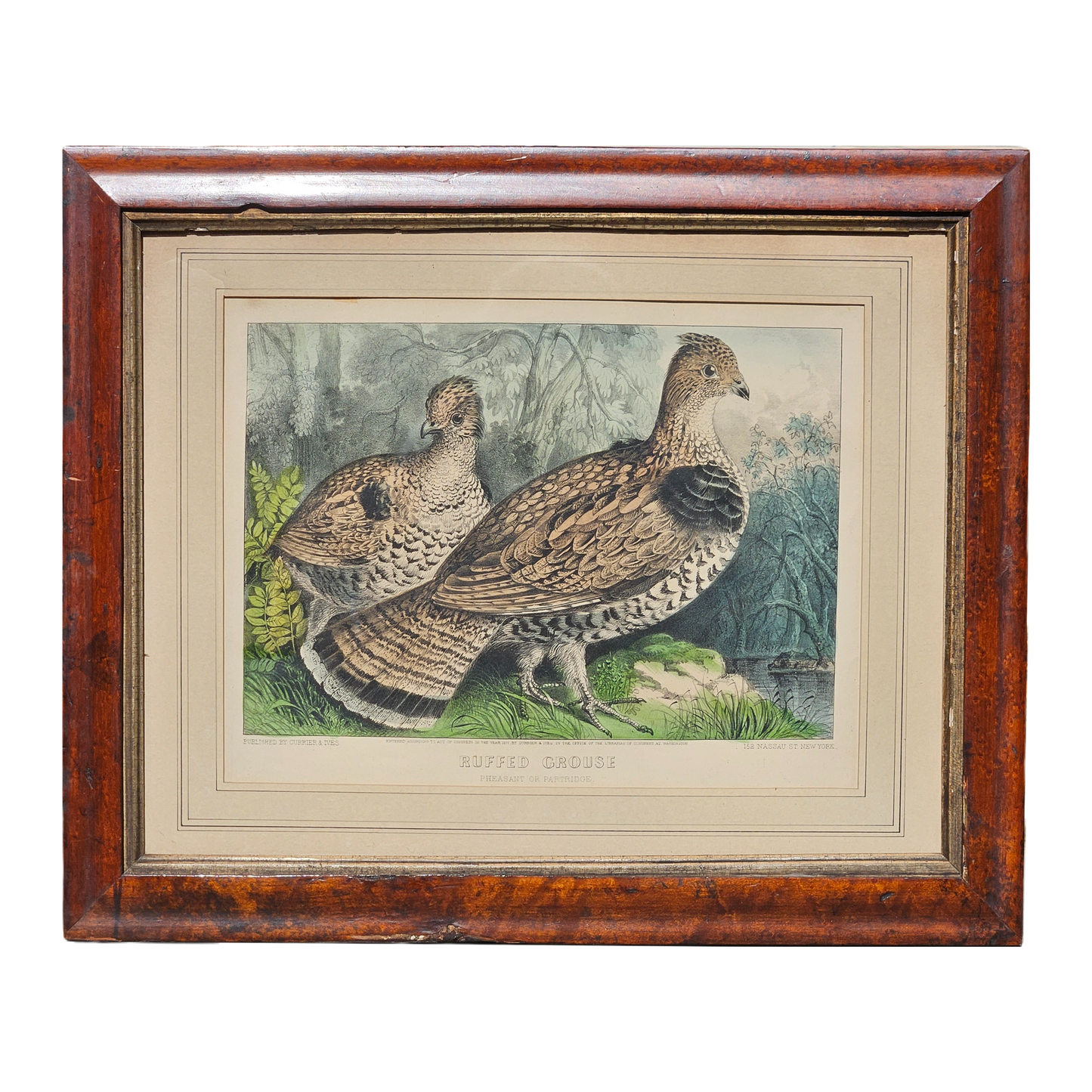 Currier & Ives "Ruffed Grouse" Framed Vintage Print