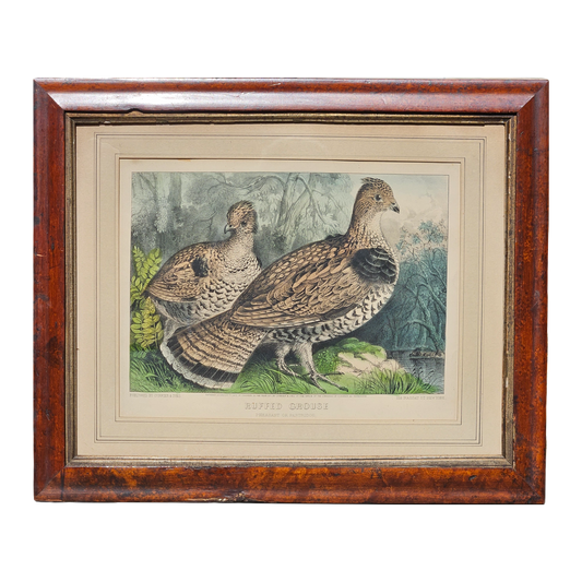 Currier & Ives "Ruffed Grouse" Framed Vintage Print