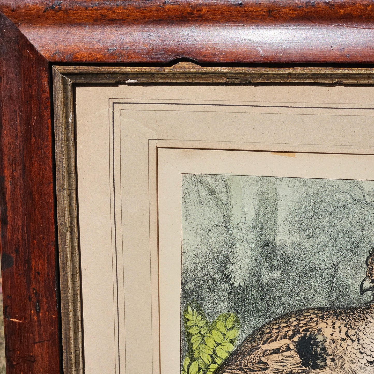 Currier & Ives "Ruffed Grouse" Framed Vintage Print