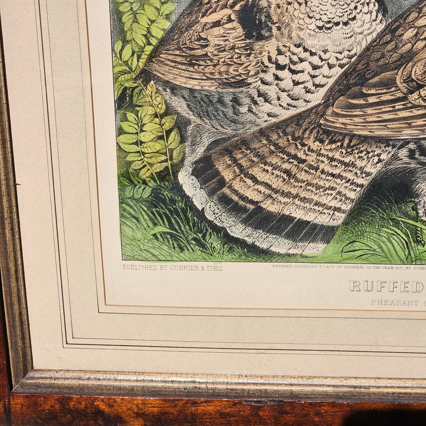 Currier & Ives "Ruffed Grouse" Framed Vintage Print