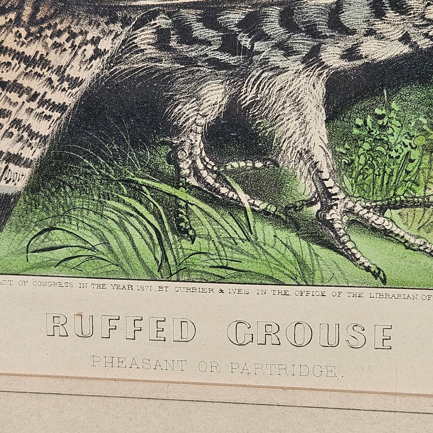 Currier & Ives "Ruffed Grouse" Framed Vintage Print