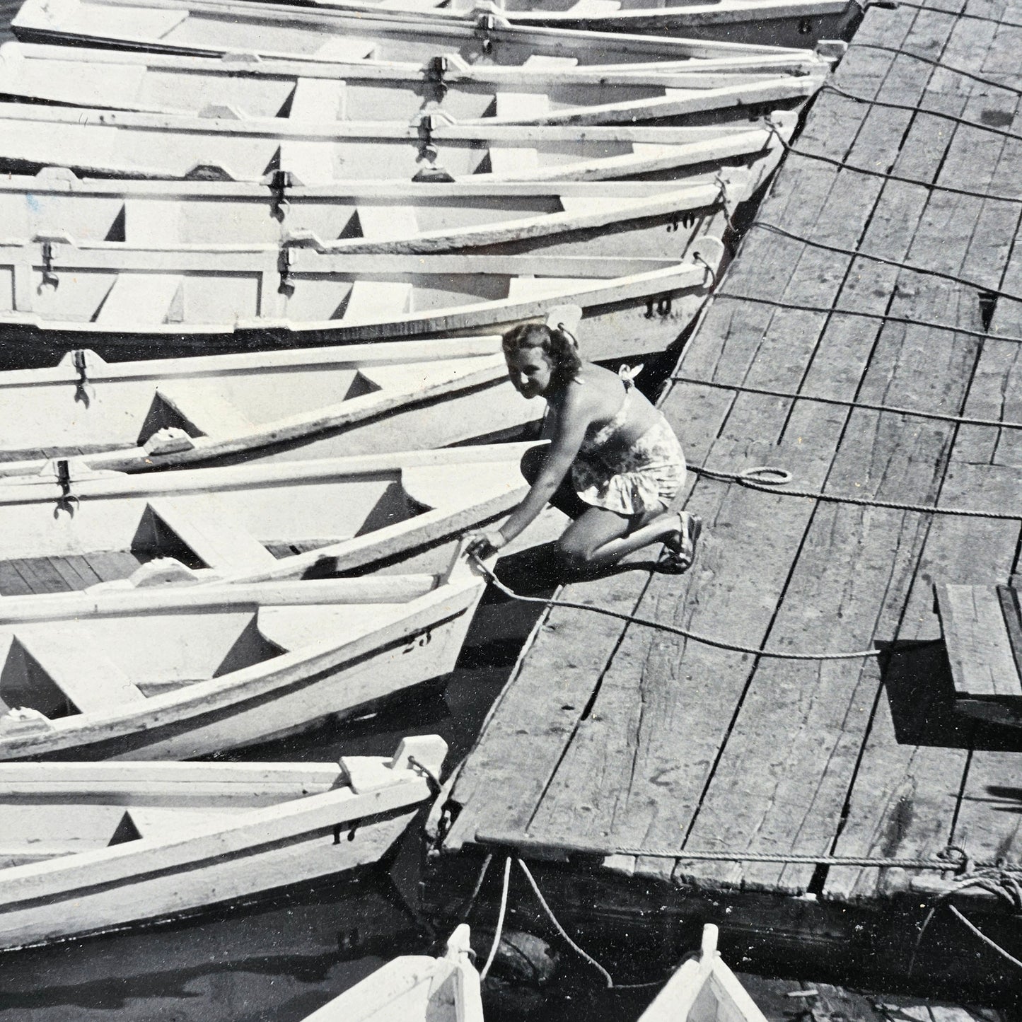 Raymond R LaPelle "White Swans" Black and White Photograph