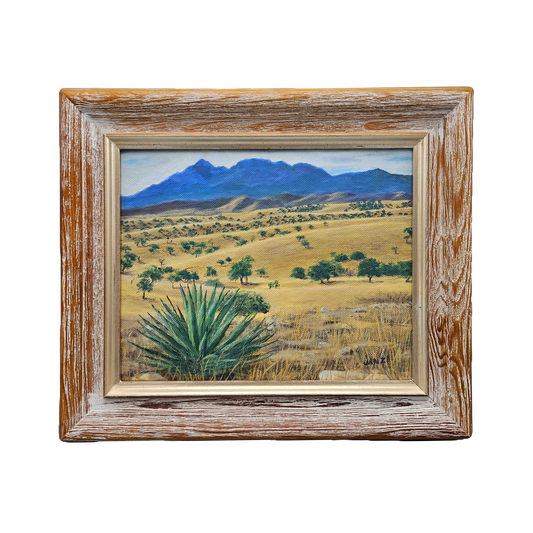 1994 Janet Zamble "Going to Sonoita" Arizona Desert Landscape Oil on Board Artwork