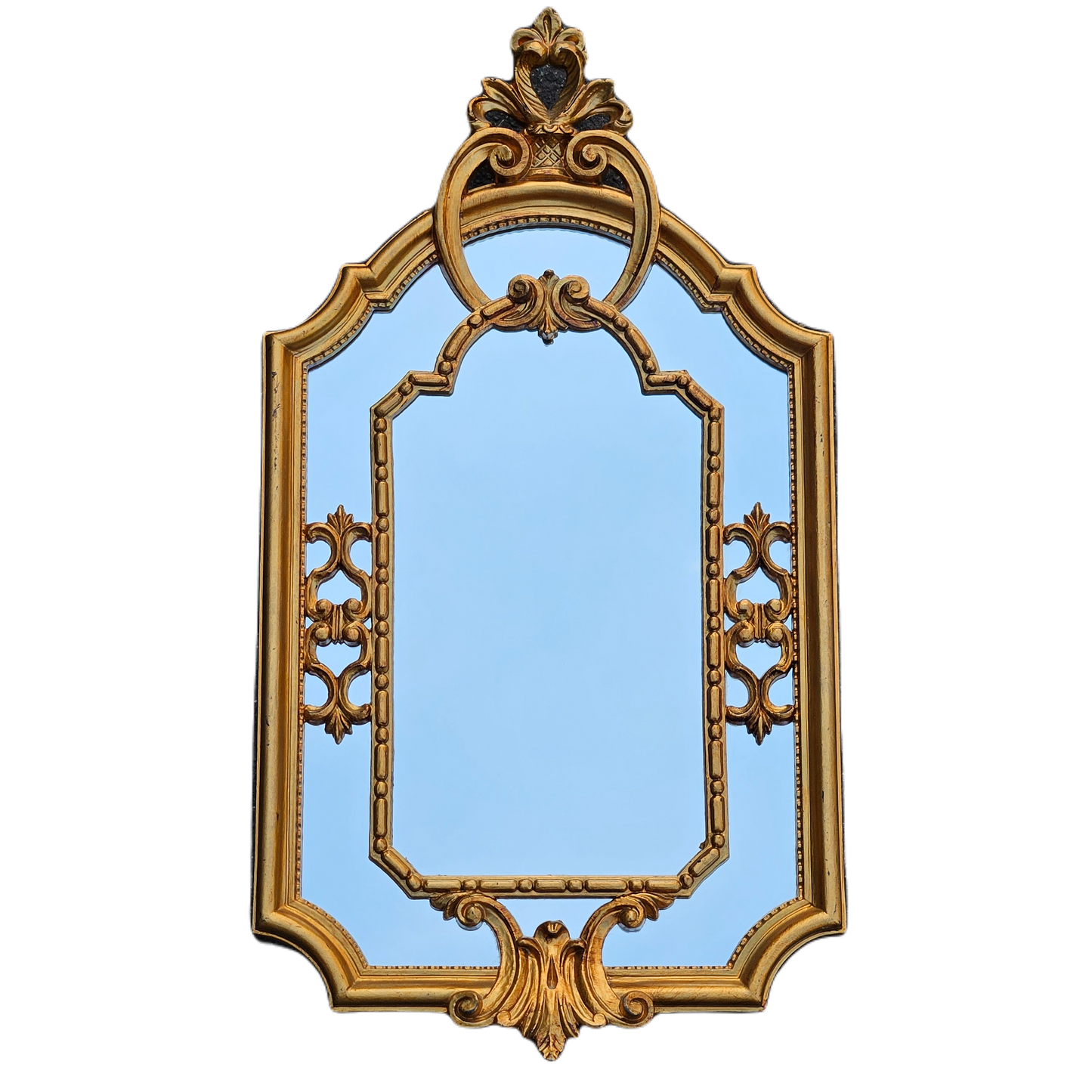 Anthropologie "Patina Vie Vintage Ornate" Gilt Wall Mirror