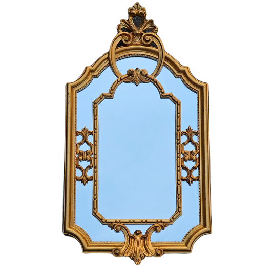 Anthropologie "Patina Vie Vintage Ornate" Gilt Wall Mirror