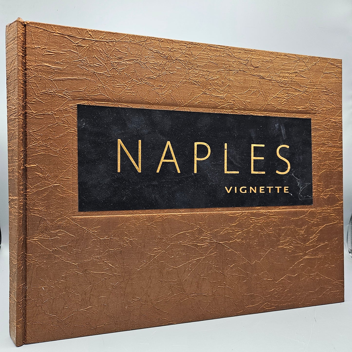 Book: Naples Vignette - Hardcover Book by John Brady (Naples Florida)