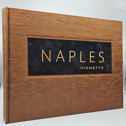 Book: Naples Vignette - Hardcover Book by John Brady (Naples Florida)