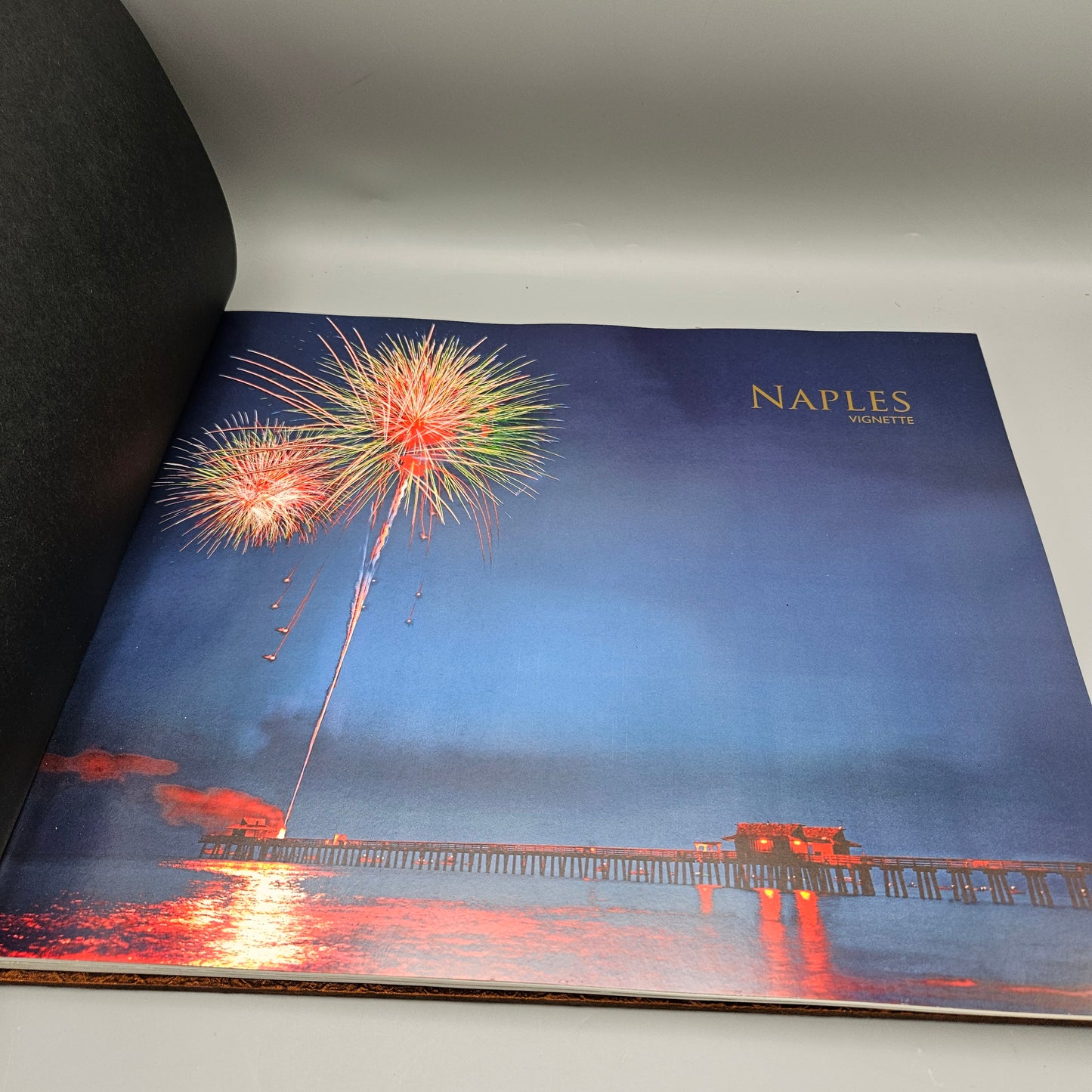 Book: Naples Vignette - Hardcover Book by John Brady (Naples Florida)