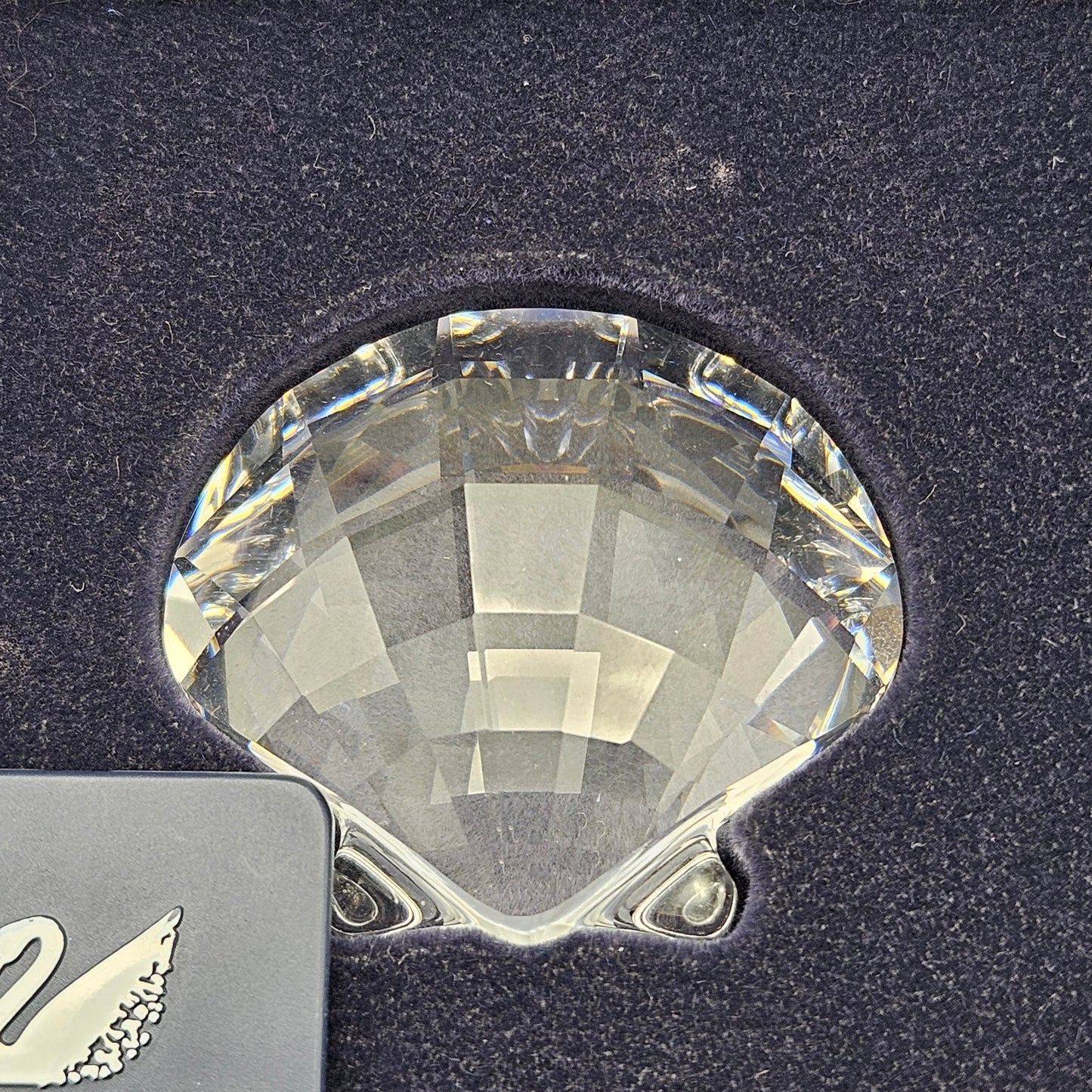 Swarovski Crystal Scallop Shell Paperweight 833506